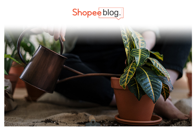 watering indoor plants