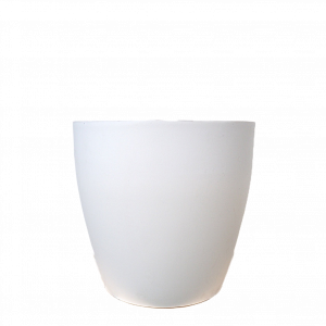 white plant pot