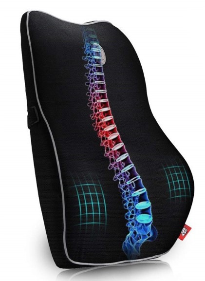 BackJoy Lumbar Support with Adjustable Strap, Designed for Spine and Lower  Back Pain, Posture Correction, Adjustable, Breathable, Ideal for Office