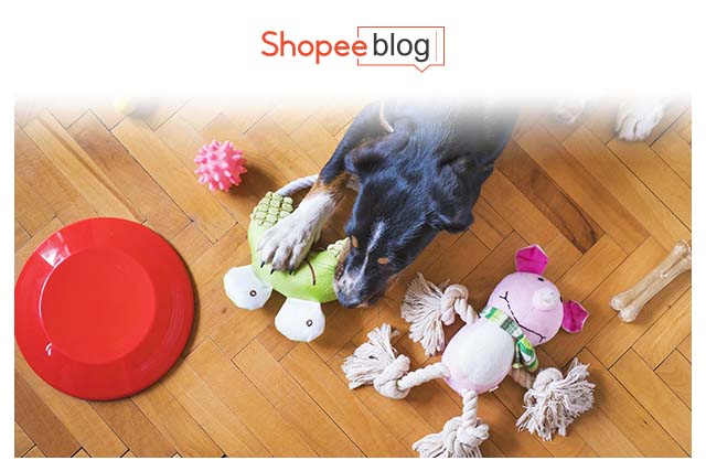 chew toys for dogs