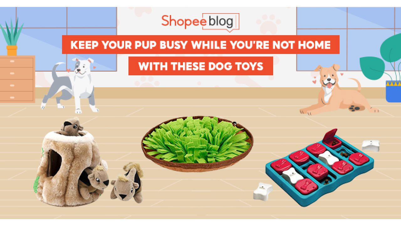 https://shopee.ph/blog/wp-content/uploads/2022/06/Best-Dog-Toys_Banner-1280x720.jpg