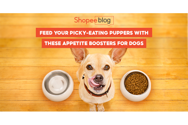 appetite booster for dogs