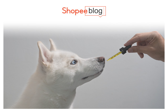 Dog vitamins to boost hot sale appetite