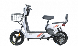 2 seater electric bike