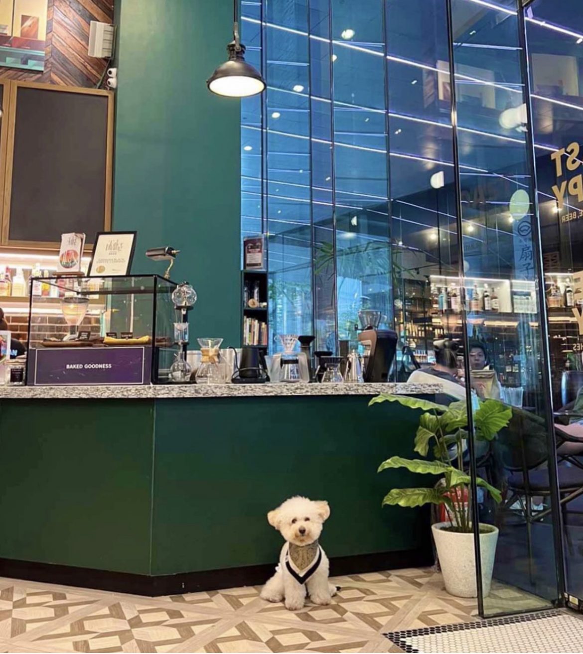 10 PetFriendly Cafes in Metro Manila