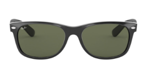 ray-ban wayferer sunglass