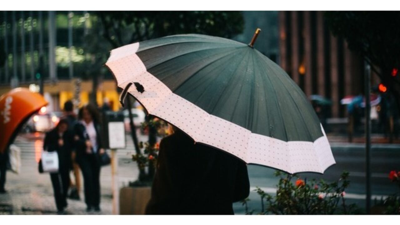 Durable umbrella hot sale brands