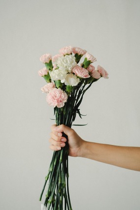 carnations flower bouquet