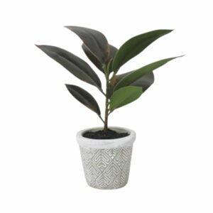 At Home 1pc Cael Nordic Artificial Rubber Tree 