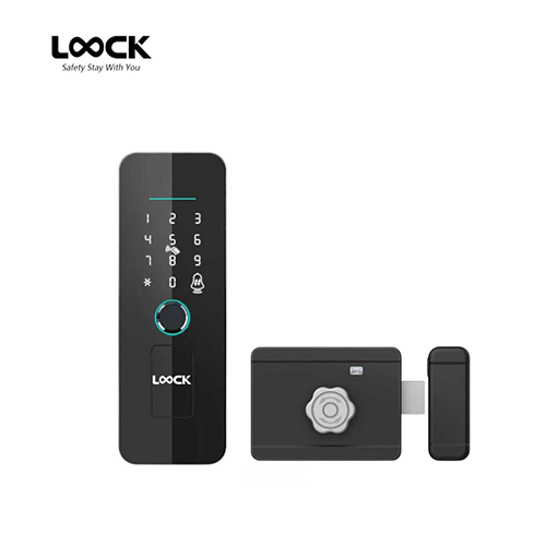 LOOCK G04AC G24AB TTLOCK TUYA Metal Gate Smart Digital Door Lock Smart Home Device