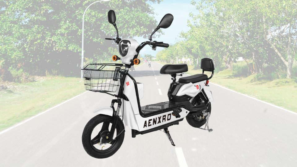 AENXRD Two-seater E-bike