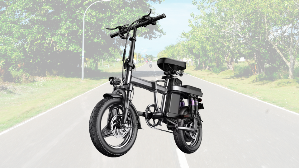 EZBike Two-seater E-Bike