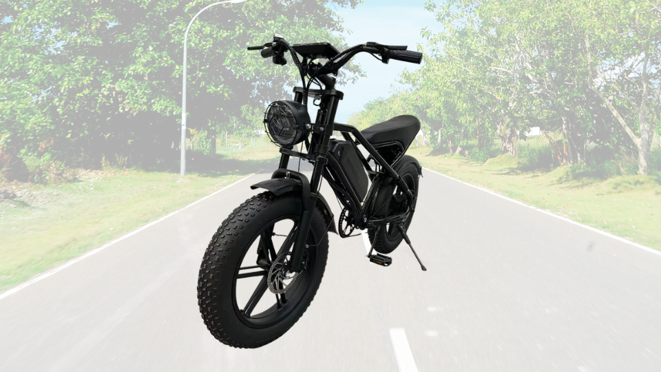 Adiman E-bike