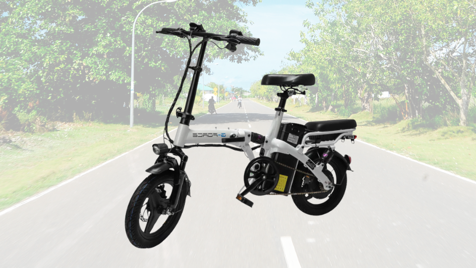 G-Force E-bike