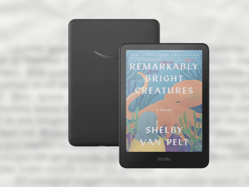 Kindle buying guide: Kindle Colorsoft