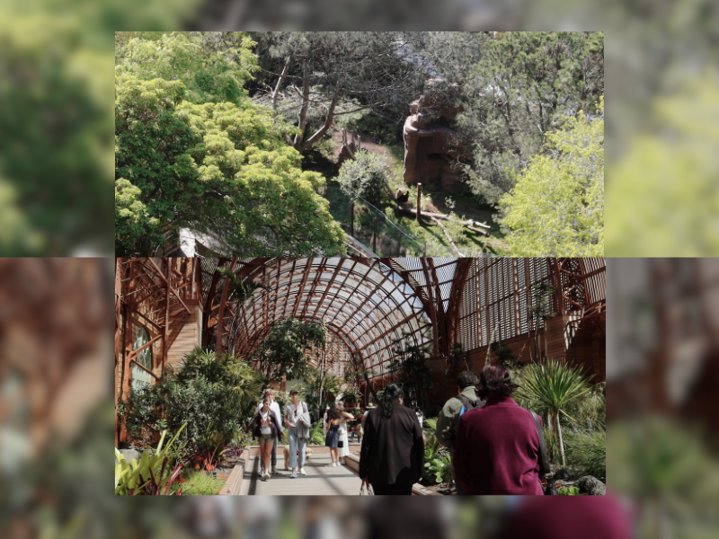 Canon G7 X Mark III 4K Sample Footage by Soersha Dyas on YouTube